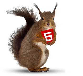 A squirrel holding the HTML5 Logo